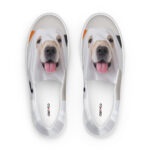 Men's slip-on canvas shoes